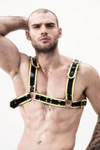 Black, trim is Yellow KPUBG021