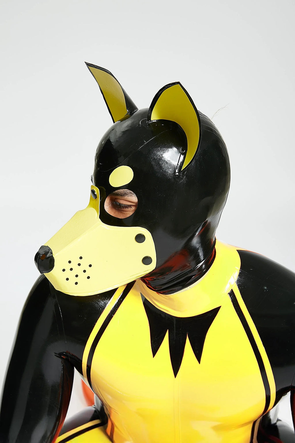 KPUMK029