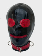 Latex Hood with Compound Eye Panels & D-Ring Collar — Kamen Rider