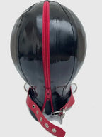 Latex Hood with Compound Eye Panels & D-Ring Collar — Kamen Rider