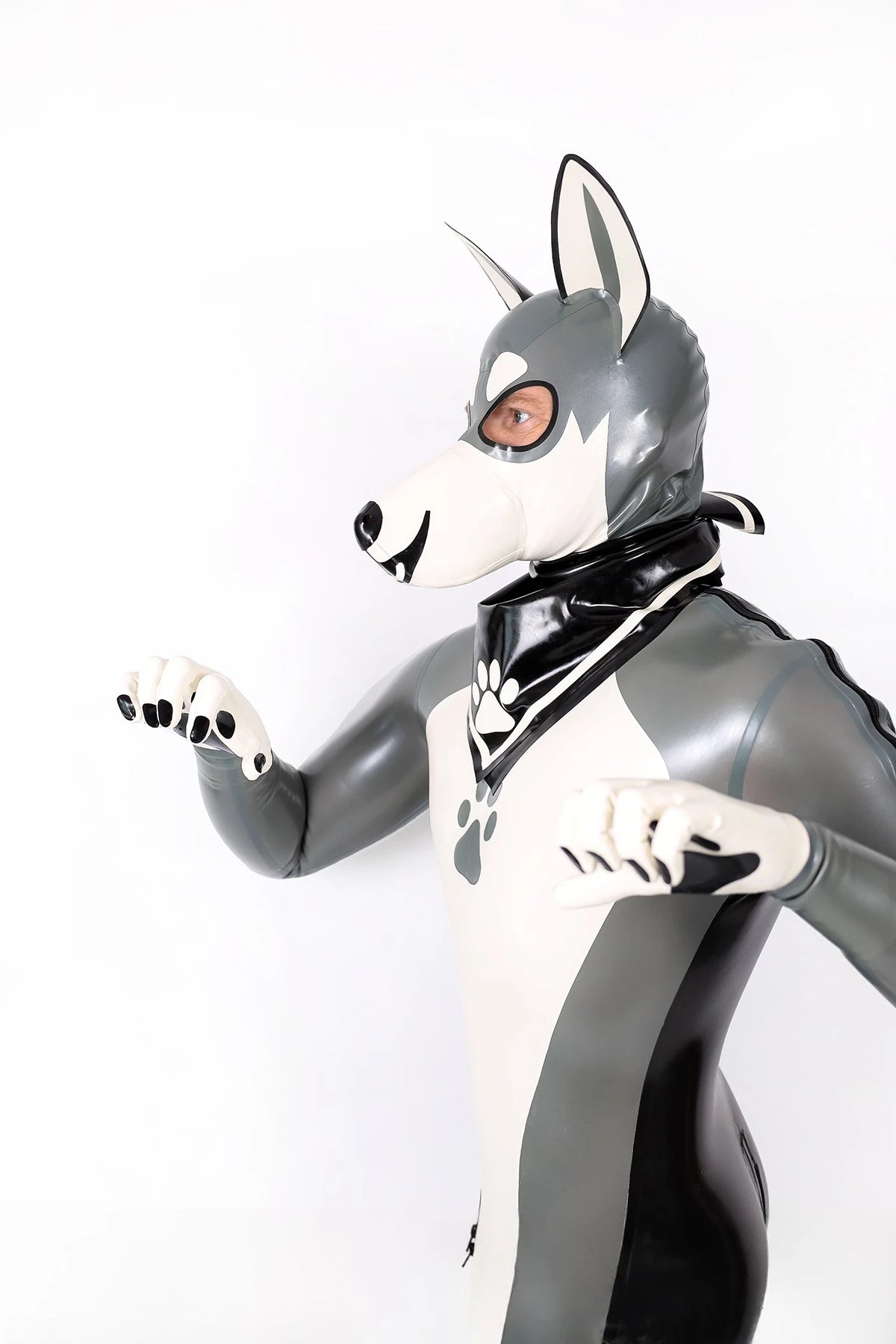 Metallic Silver Male Grey Donkey Latex Catsuit