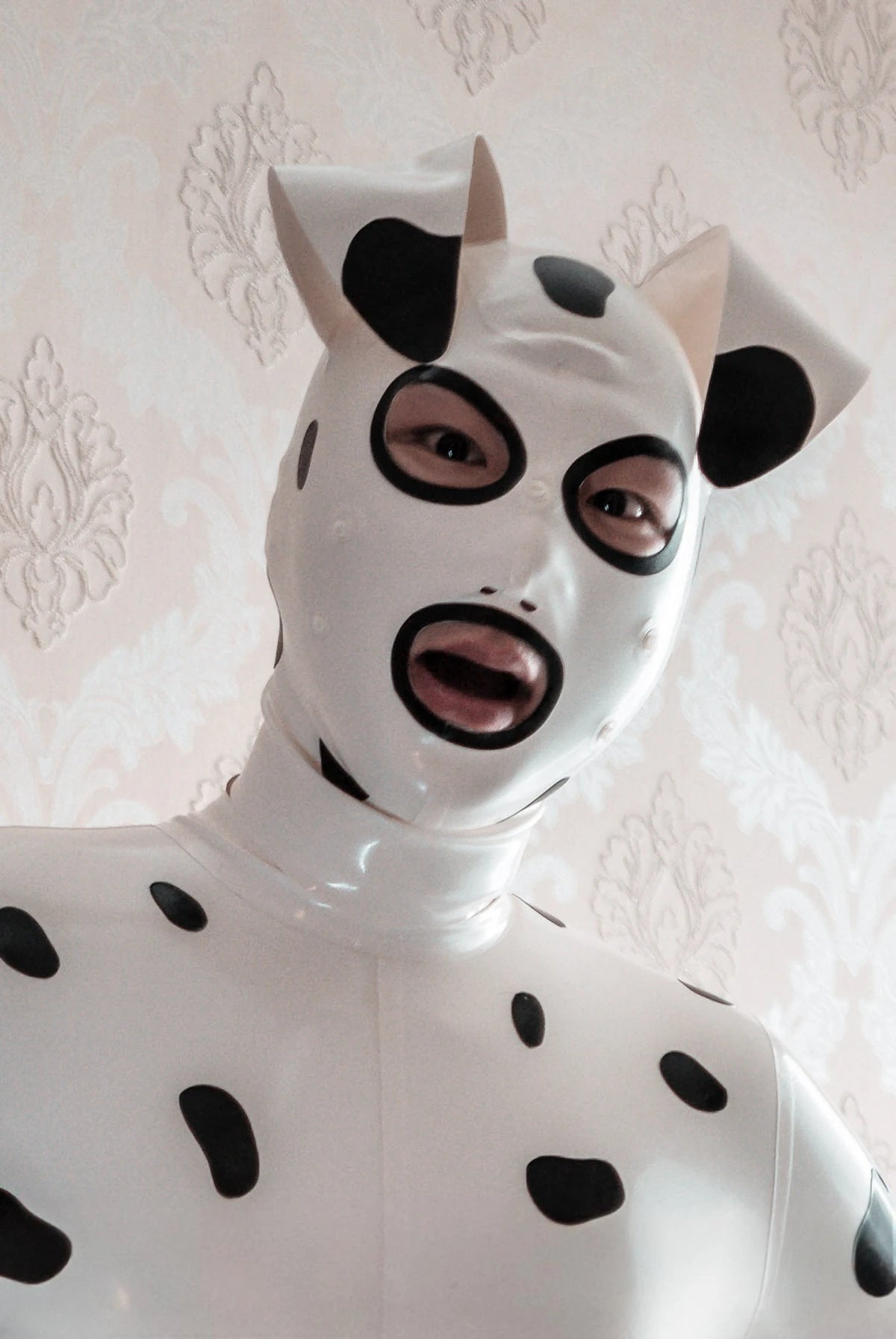 Pure White, trim color is Black Unisex ''Dalmatian' Pup Latex Hood